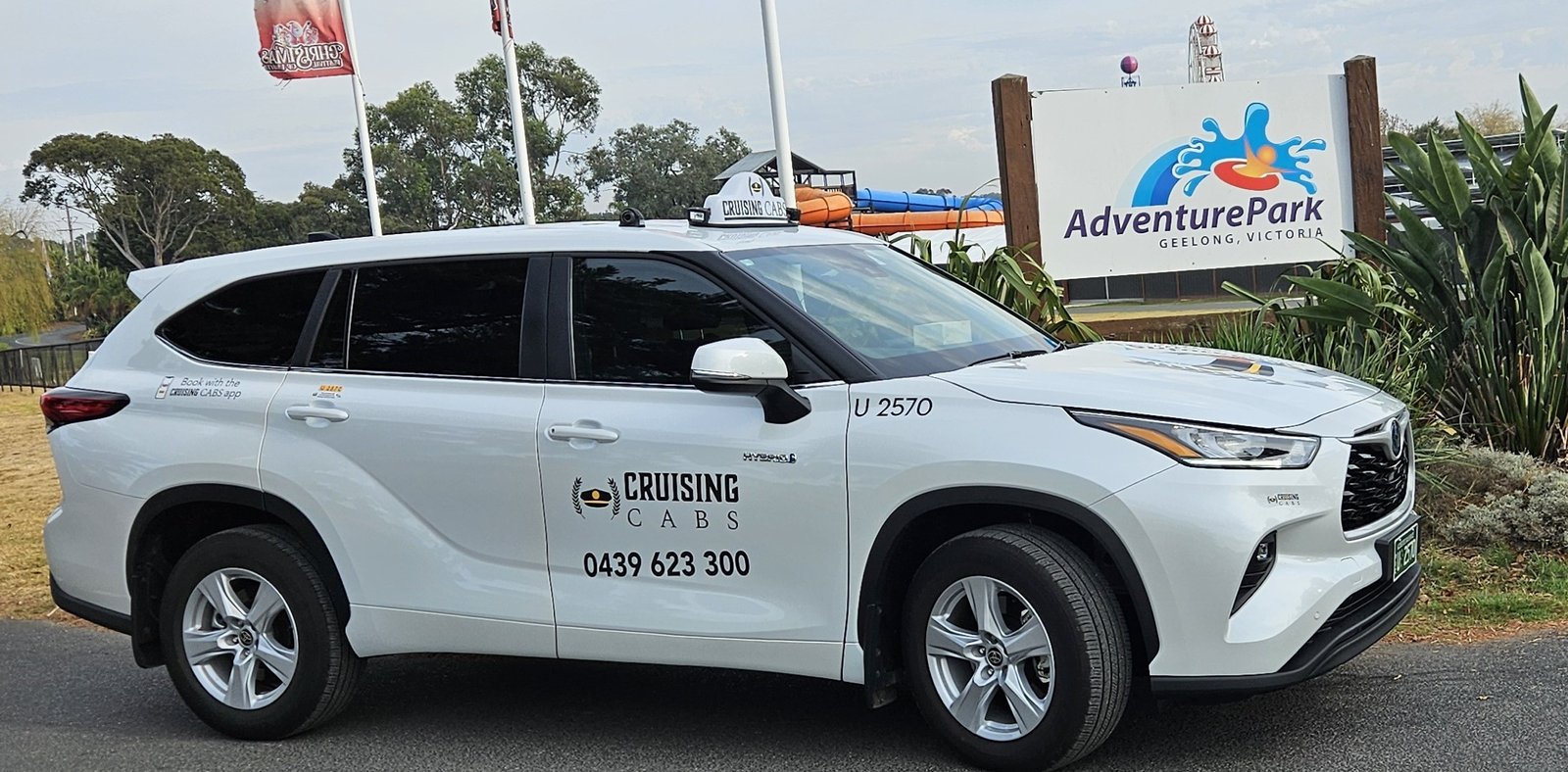 Bellarine Taxis